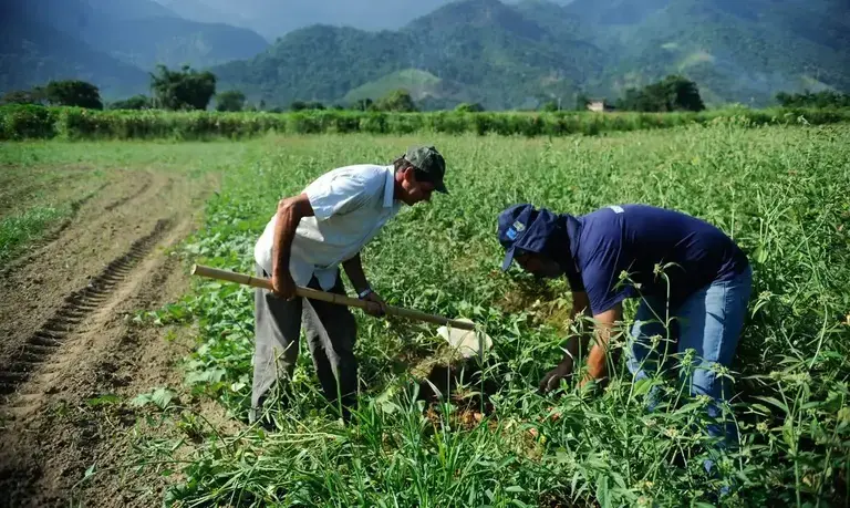 Senado aprova renegociação de dívidas rurais com fundo do pré-sal