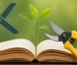 Content Pruning: Melhorando Conteúdo Existente — guia rápido