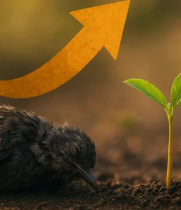Sonhar com animais mortos: fins de ciclo e renovação