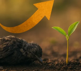 Sonhar com animais mortos: fins de ciclo e renovação