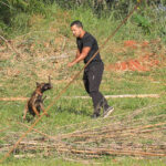 Brasília: cães policiais com superolfato