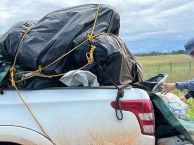 Ex-vereador preso com carga de grude de peixe de R$ 1 mi no AP