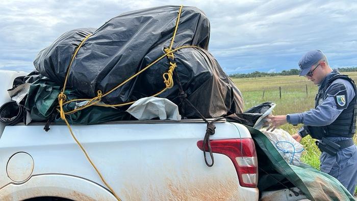 Ex-vereador preso com carga de grude de peixe de R$ 1 mi no AP