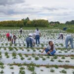 100 mulheres certificadas em programa rural no DF