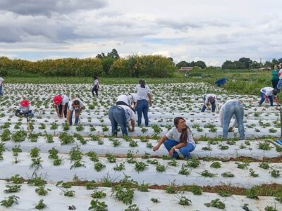 100 mulheres certificadas em programa rural no DF