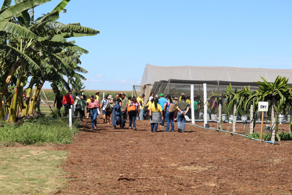 Emater-DF apresenta circuito de fruticultura na AgroBrasília 2026