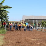 Emater-DF apresenta circuito de fruticultura na AgroBrasília 2026