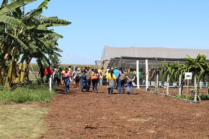 Emater-DF apresenta circuito de fruticultura na AgroBrasília 2026