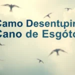 Como Desentupir Cano de Esgoto Entupido sem Chamar um Profissional